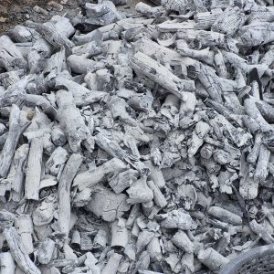 LONGAN CHARCOAL